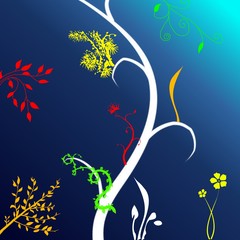 Kwiatowa abstrakcja © Tomasz Sergej