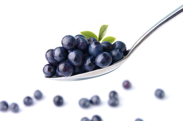 bilberry