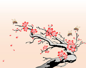 Fototapeta premium flowering cherry branch with flying bees