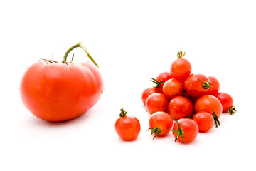 tomatoes