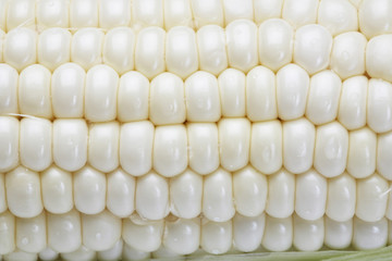 白いトウモロコシ