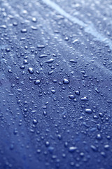 雨上がりのボンネット