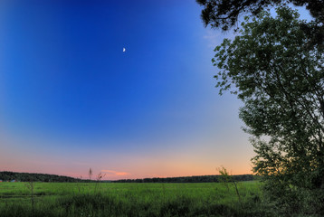 Fototapeta na wymiar Landscape of a green field at the dusk