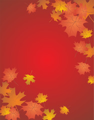 Autumn red card