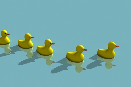 rubber yellow duck family on water