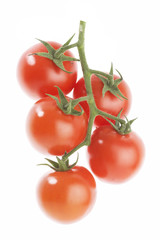 プチトマト枝つき