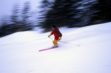 スキーヤー