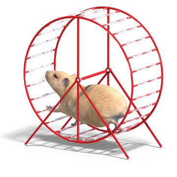 cute hamster in a hamster wheel