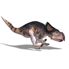 Dinosaur Protoceratops