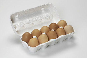 エコパック玉子ケース