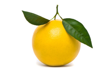 Fresh grapefruit. Macro studio shot on white background.