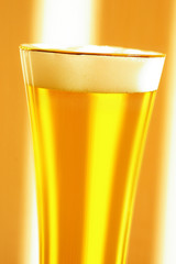 glass of beer