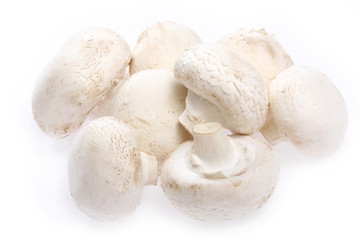 mushroom champignon