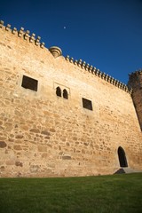 castle entry and moon