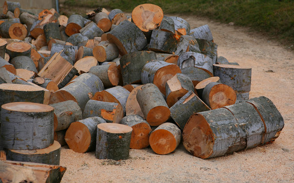 Pile of cut logs used for fire