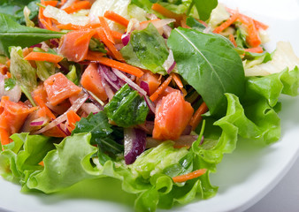 salad with salmon and vegetable