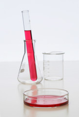 研究開発イメージ