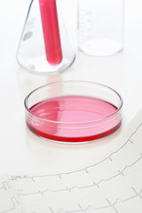 研究開発イメージ