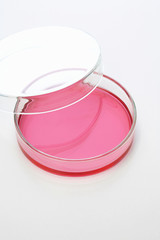 研究開発イメージ