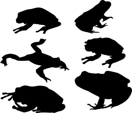 six frog silhouettes