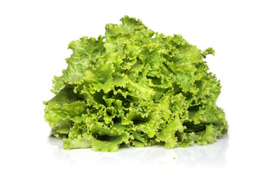 Salade bio du jardin