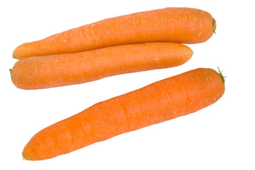 carrot