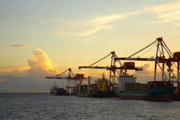 コンテナヤード