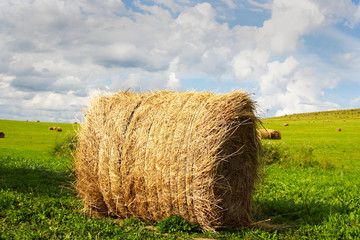 Haystacks under the skies