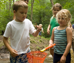 children playing in a stream with nets