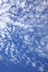 Fototapeta premium 秋空