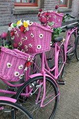 Pink Bicycle