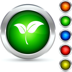 Eco detailed button. Vector illustration