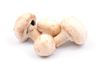 Fresh mushrooms