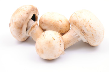 Fresh mushrooms
