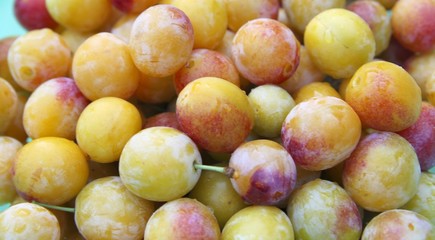 Mirabelles de Metz