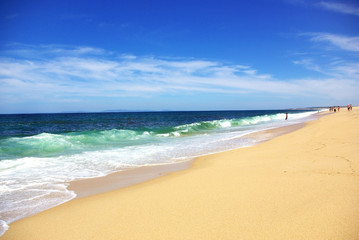 Green waves at Portugal.