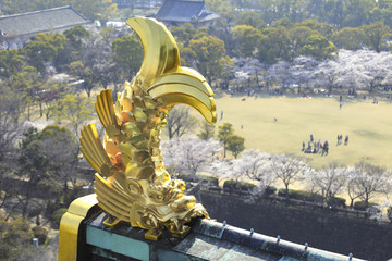 金の鯱