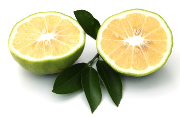 citrons verts