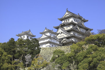 Fototapeta premium 姫路城