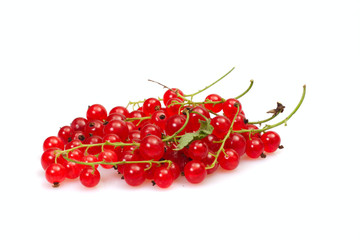 red currant