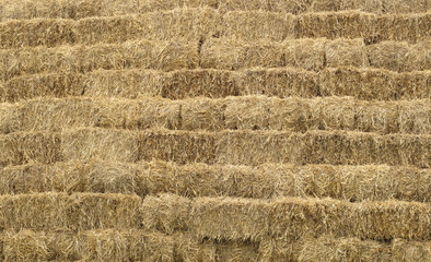 Hay stored bales