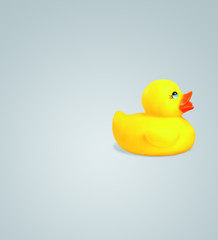 canard