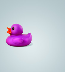canard violet