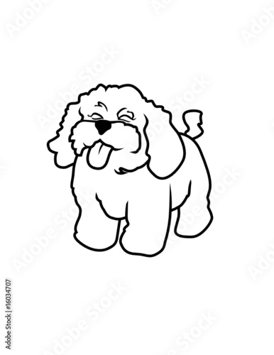 French Poodle Para Colorear / Perros french poodle dibujos - Imagui