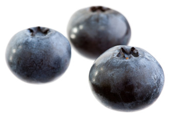 Blueberries isolated on white background