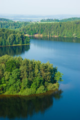 forest island on lake