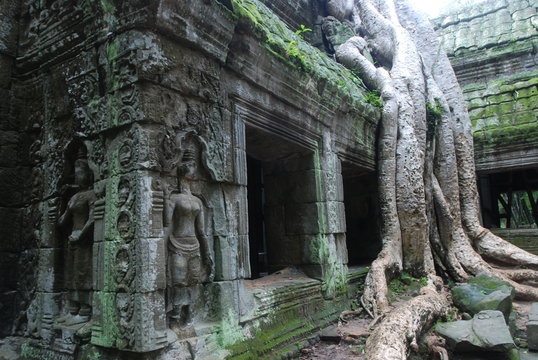 Temple Khmer, Ta Phrom