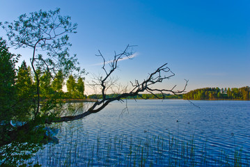 Idylle am See