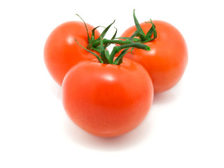 Red tomato isolated on white background.