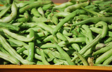 Grüne Bohnen